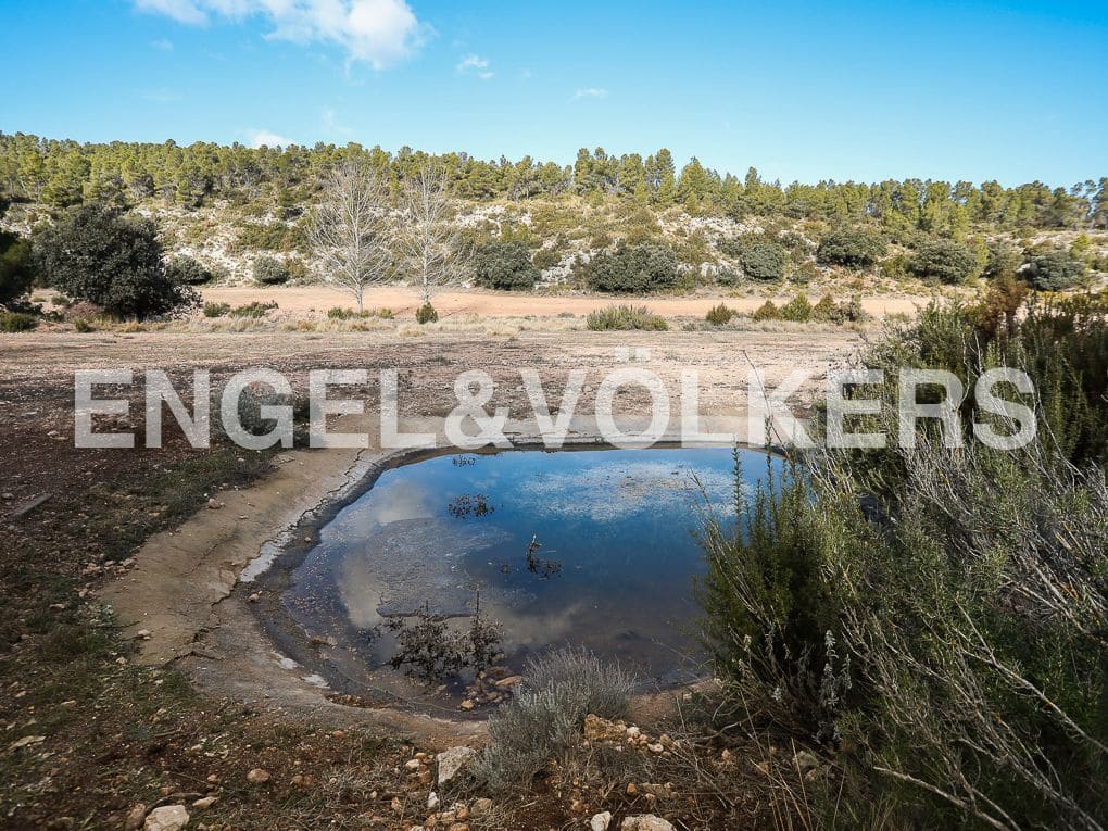 10 bedroom Finca/Country House for sale in Ayora with pool - € 3,900,000 (Ref: 8235132)