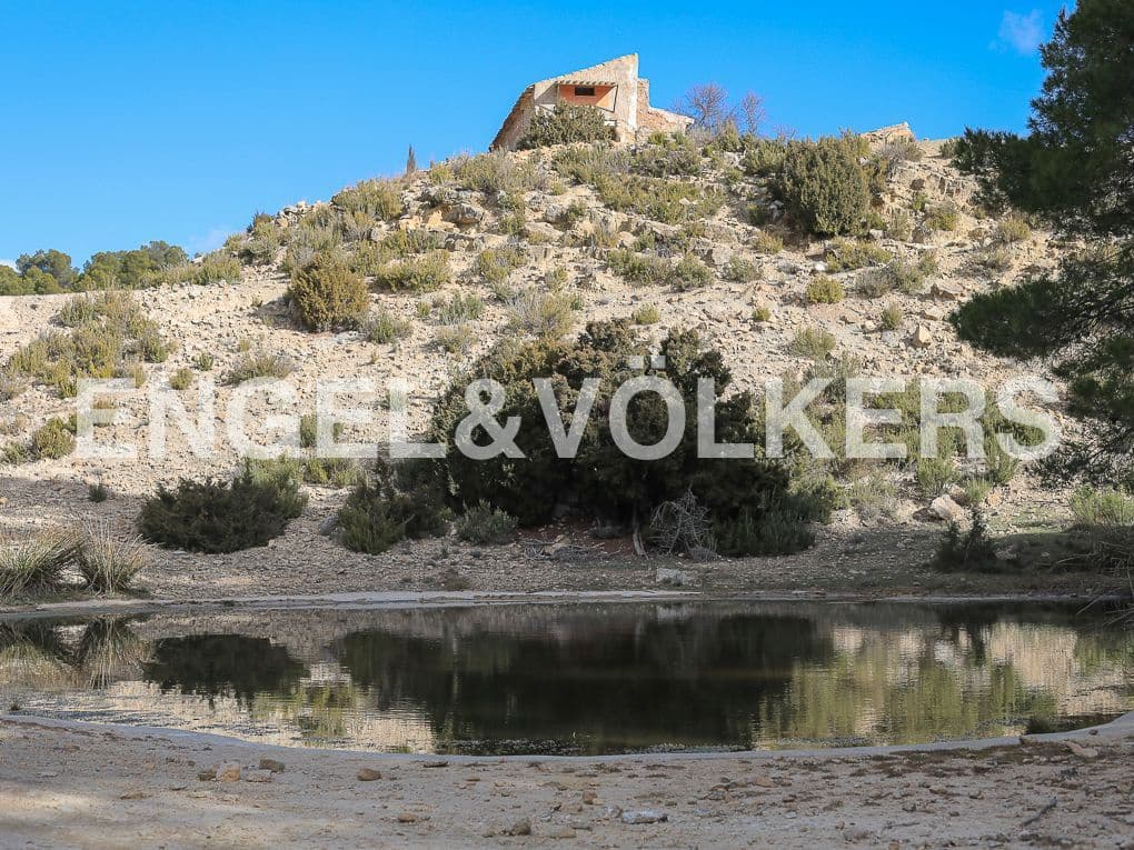 10 bedroom Finca/Country House for sale in Ayora with pool - € 3,900,000 (Ref: 8235132)