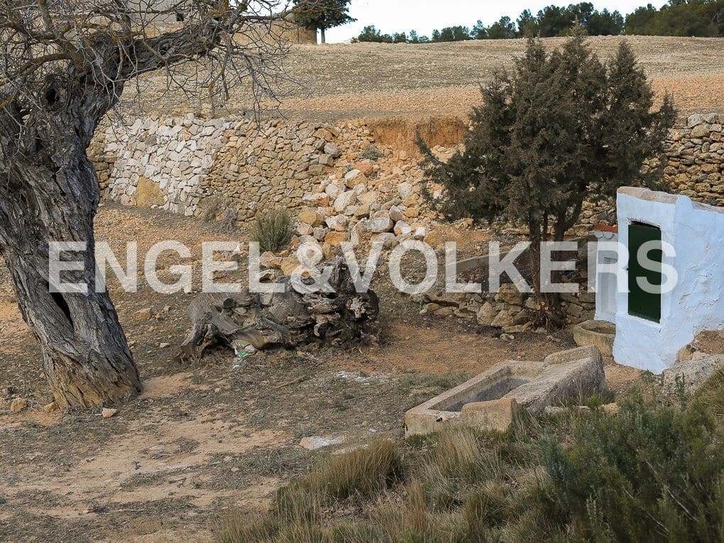 10 bedroom Finca/Country House for sale in Ayora with pool - € 3,900,000 (Ref: 8235132)