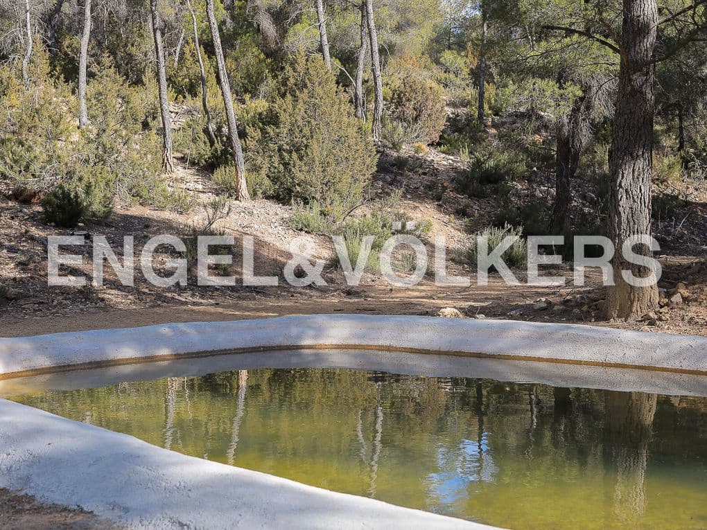 10 bedroom Finca/Country House for sale in Ayora with pool - € 3,900,000 (Ref: 8235132)