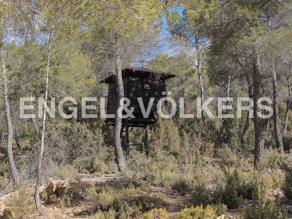 10 bedroom Finca/Country House for sale in Ayora with pool - € 3,900,000 (Ref: 8235132)