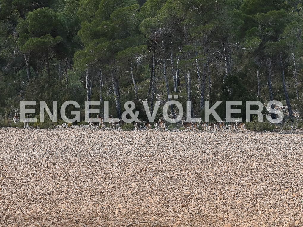 10 bedroom Finca/Country House for sale in Ayora with pool - € 3,900,000 (Ref: 8235132)