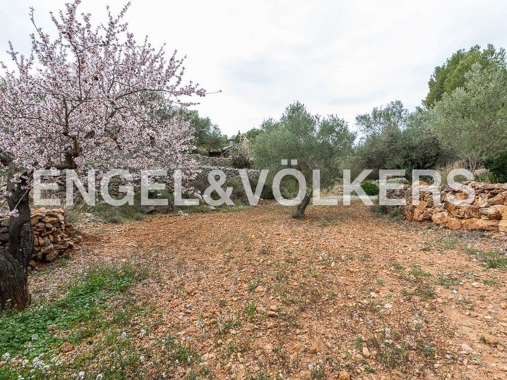 2 bedroom Finca/Country House for sale in Sierra Engarceran - € 280,000 (Ref: 8235158)