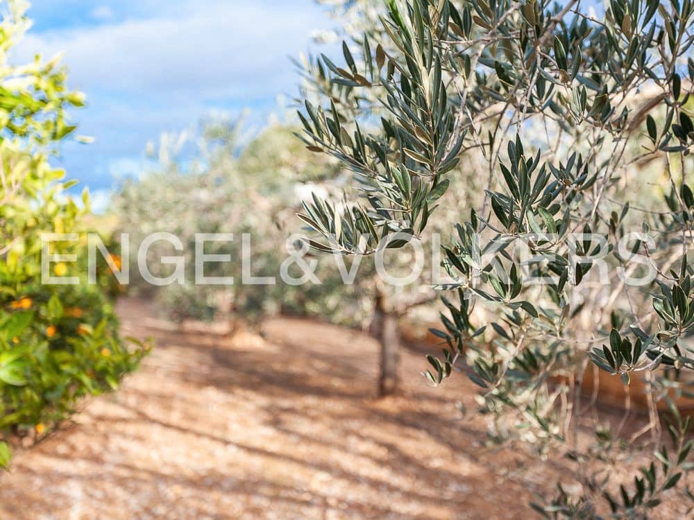 Bouwgrond te koop in Lliria - € 179.900 (Ref: 8235261)