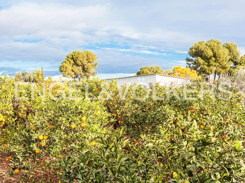 Bouwgrond te koop in Lliria - € 179.900 (Ref: 8235261)