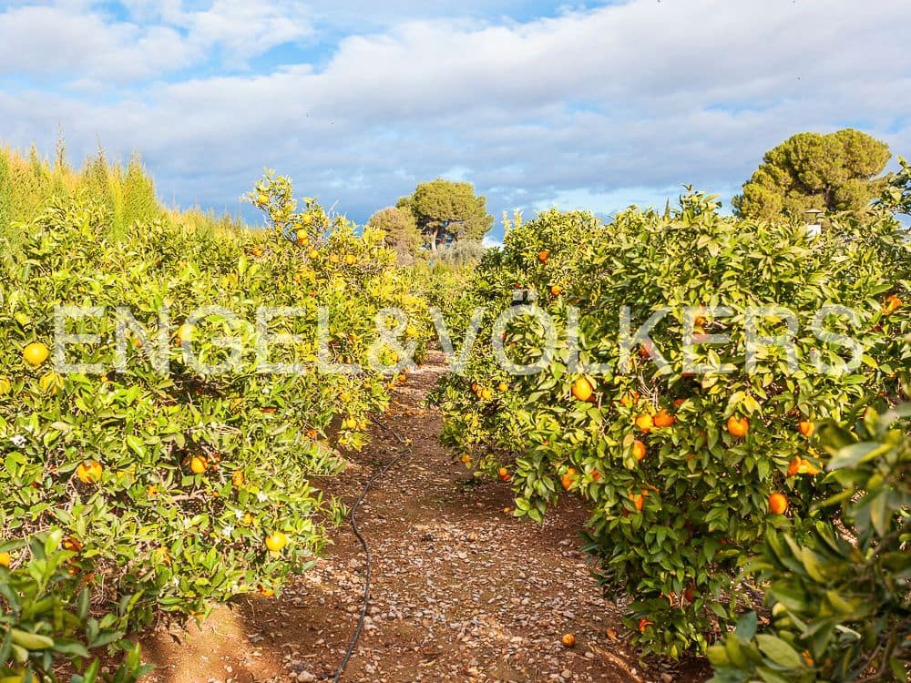 Bouwgrond te koop in Lliria - € 179.900 (Ref: 8235261)