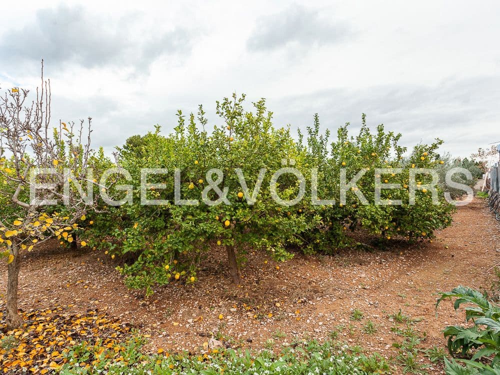 Bouwgrond te koop in Lliria - € 179.900 (Ref: 8235261)