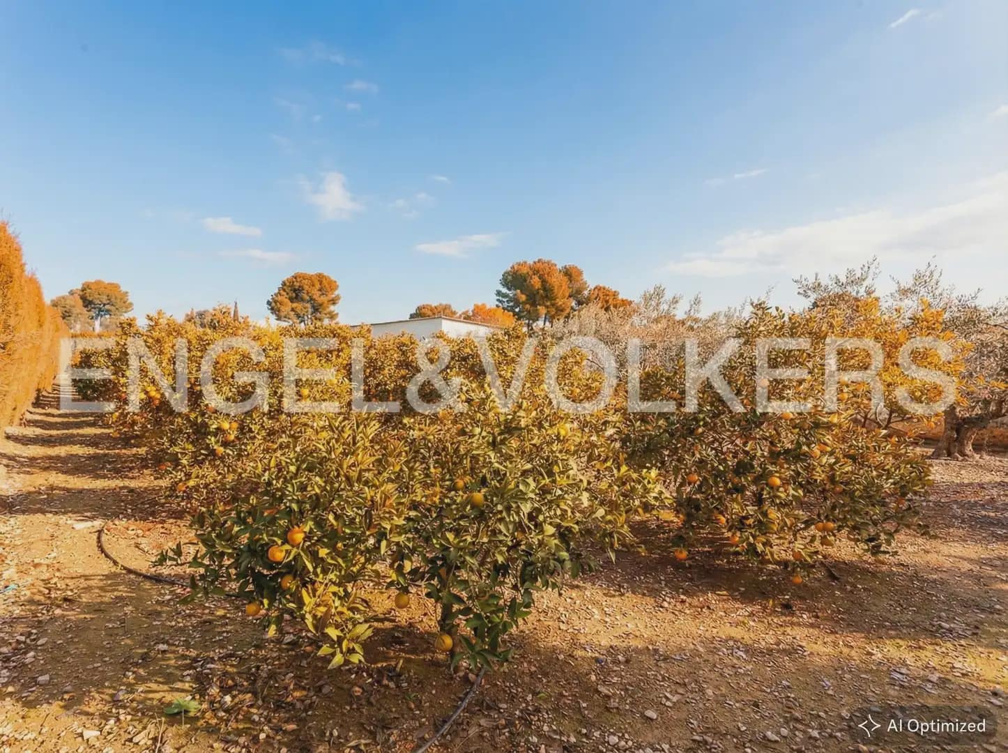 Bouwgrond te koop in Lliria - € 179.900 (Ref: 8235261)