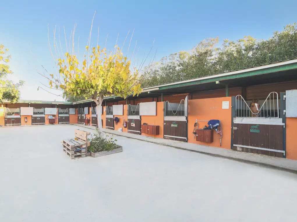 4 camera da letto Finca/Casa di Campagna in vendita in Betera con piscina garage - 2.250.000 € (Rif: 8235470)