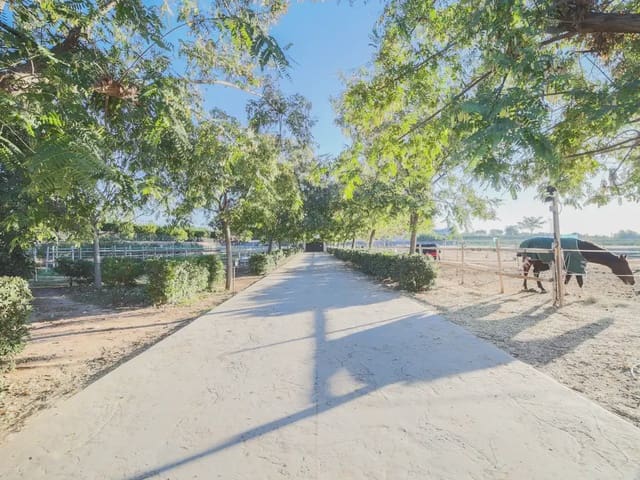4 Zimmer Finca/Landgut zu verkaufen in Bétera mit Pool Garage - 2.250.000 € (Ref: 8235470)