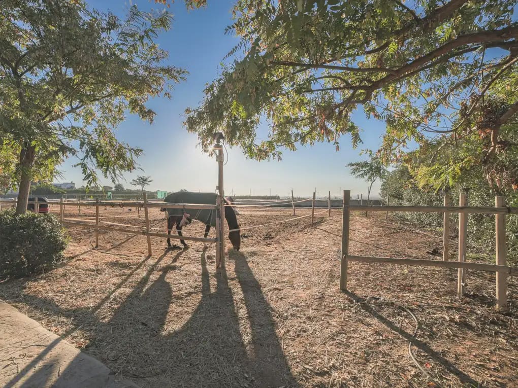 4 camera da letto Finca/Casa di Campagna in vendita in Betera con piscina garage - 2.250.000 € (Rif: 8235470)