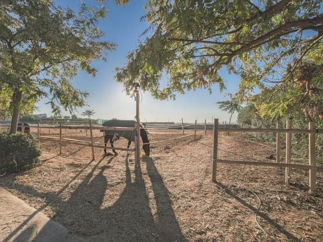 4 Zimmer Finca/Landgut zu verkaufen in Bétera mit Pool Garage - 2.250.000 € (Ref: 8235470)