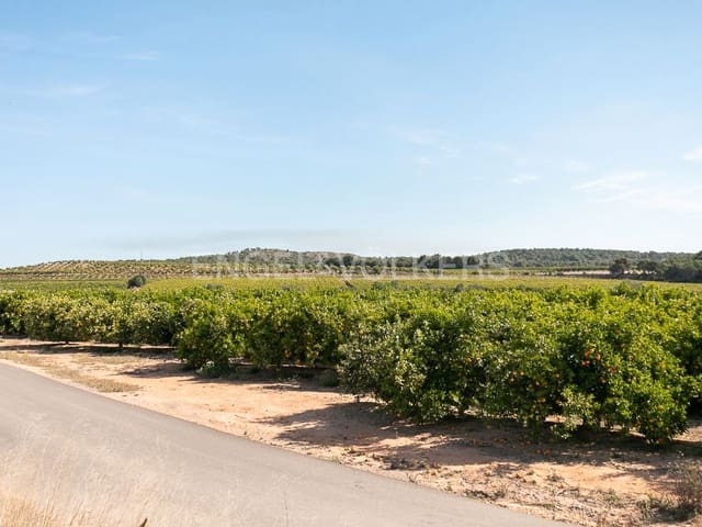 Terrain à Bâtir à vendre à Pedralba - 189 900 € (Ref: 8235507)