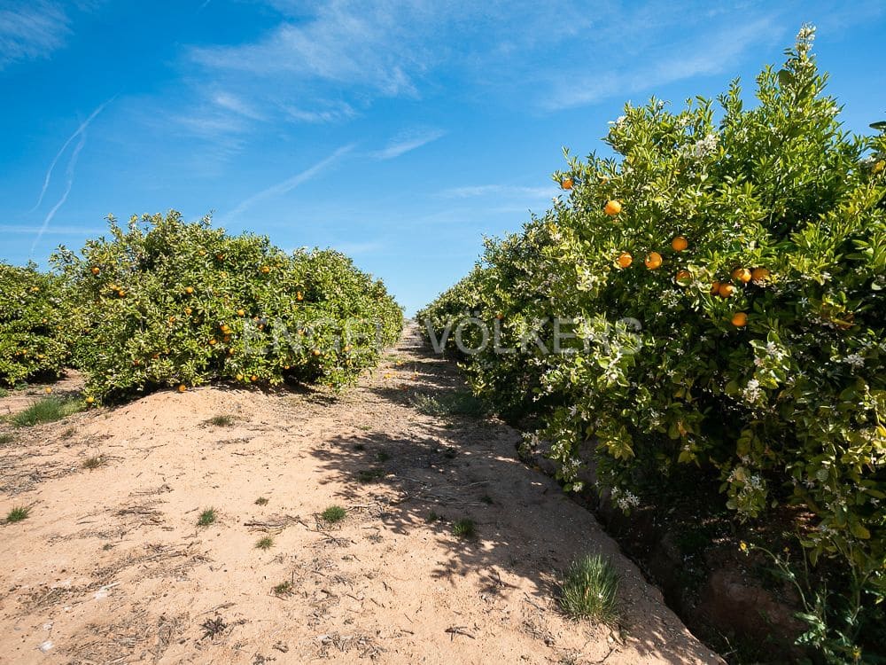 Building Plot for sale in Pedralba - € 189,900 (Ref: 8235507)