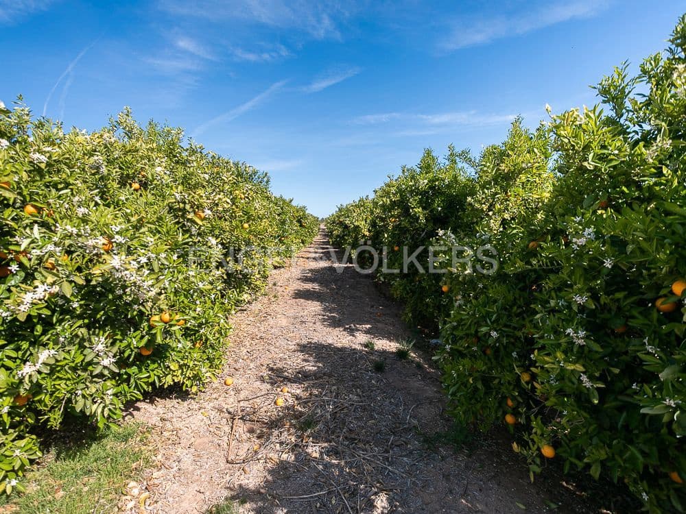 Building Plot for sale in Pedralba - € 189,900 (Ref: 8235507)