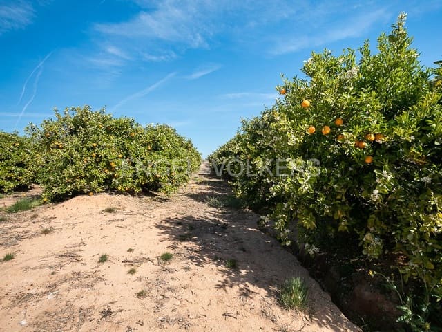 Terrain à Bâtir à vendre à Pedralba - 189 900 € (Ref: 8235507)