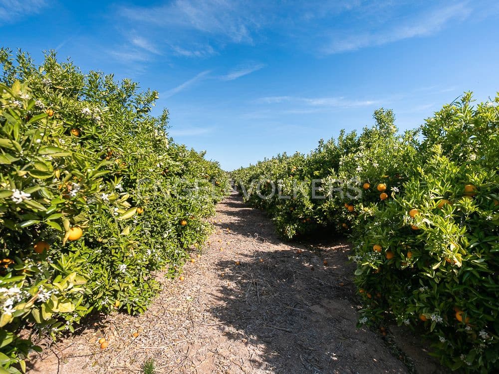 Building Plot for sale in Pedralba - € 189,900 (Ref: 8235507)