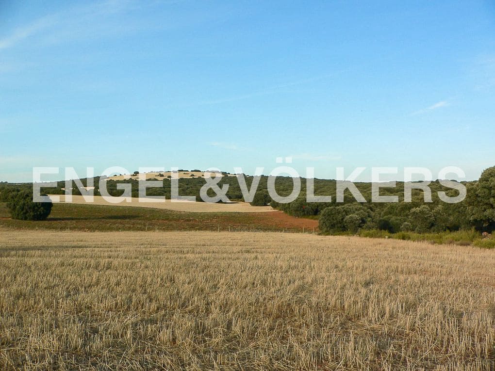 Building Plot for sale in Alhambra - € 1,450,000 (Ref: 8235510)