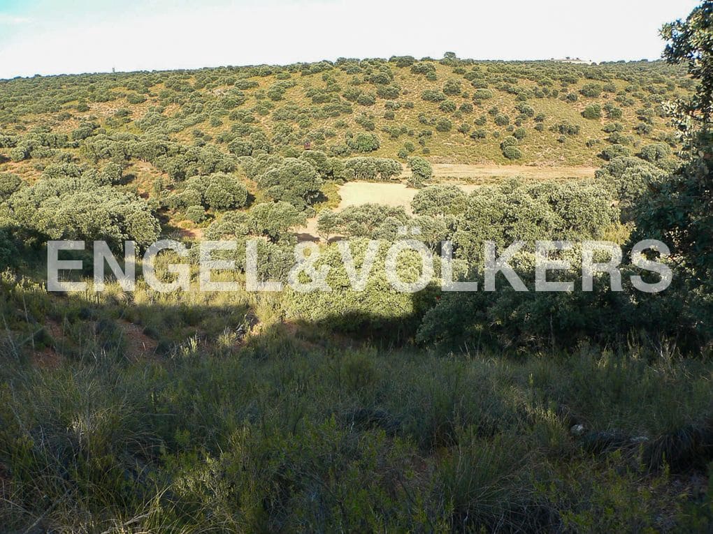 Building Plot for sale in Alhambra - € 1,450,000 (Ref: 8235510)