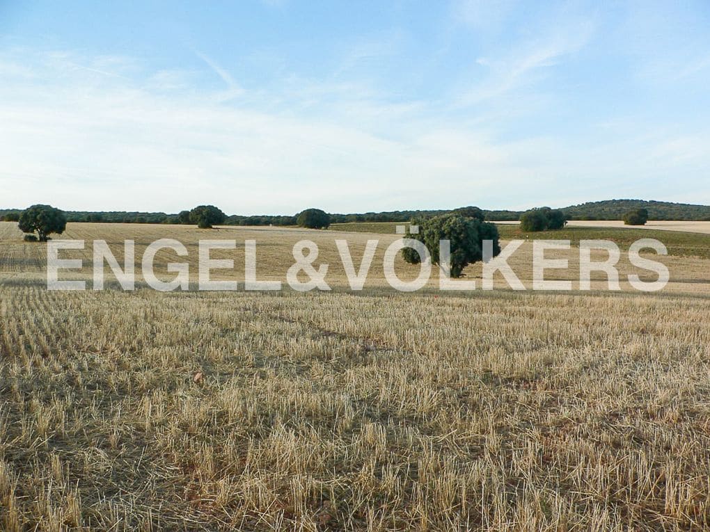 Building Plot for sale in Alhambra - € 1,450,000 (Ref: 8235510)
