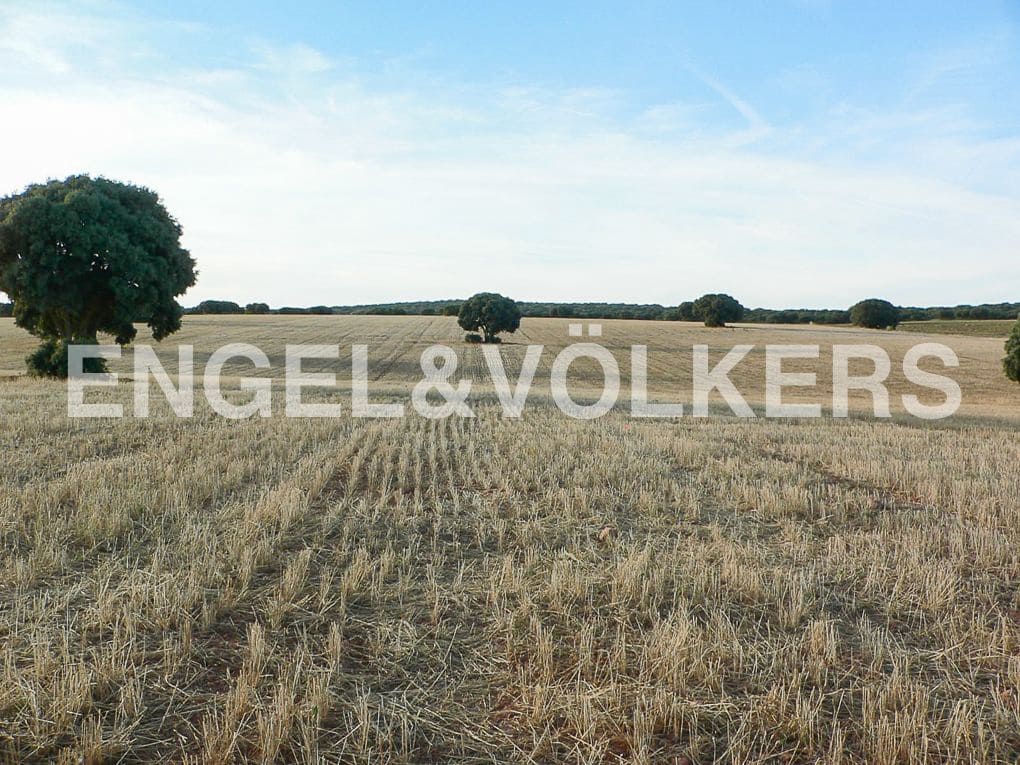 Building Plot for sale in Alhambra - € 1,450,000 (Ref: 8235510)
