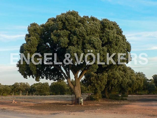 Tontti myytävänä paikassa Alhambra - 1 450 000 € (Ref: 8235510)