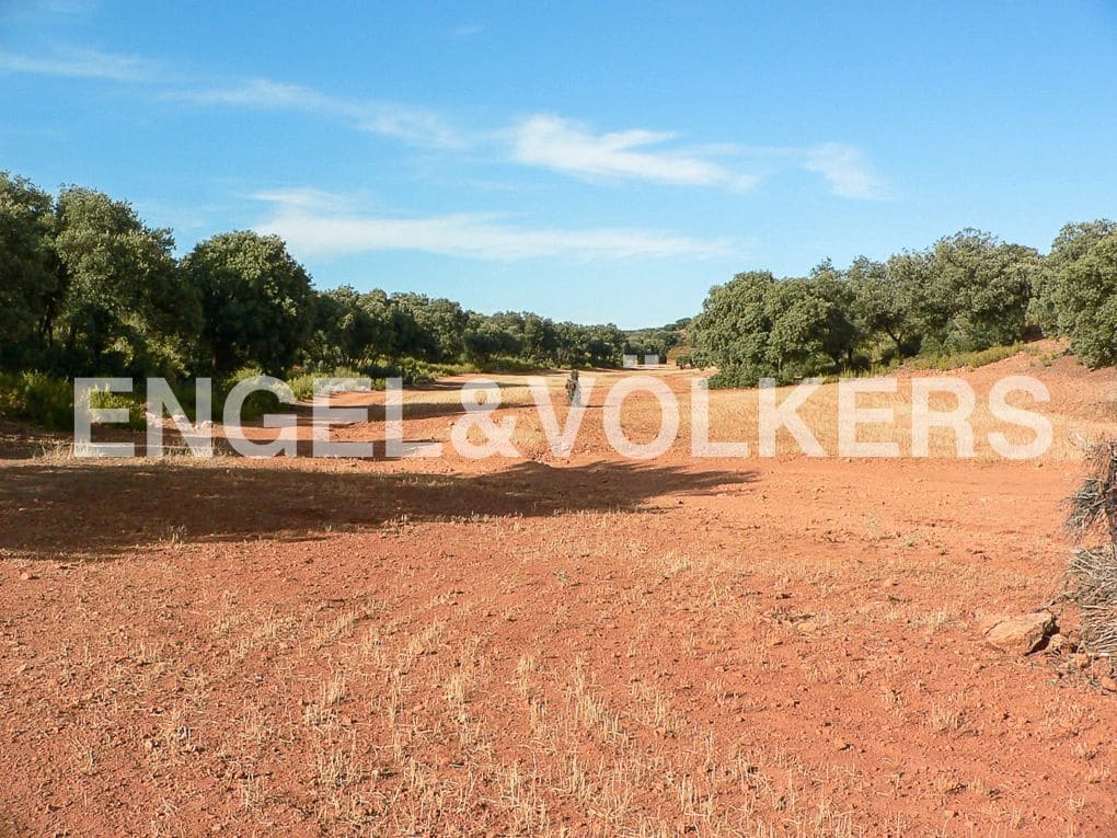 Building Plot for sale in Alhambra - € 1,450,000 (Ref: 8235510)