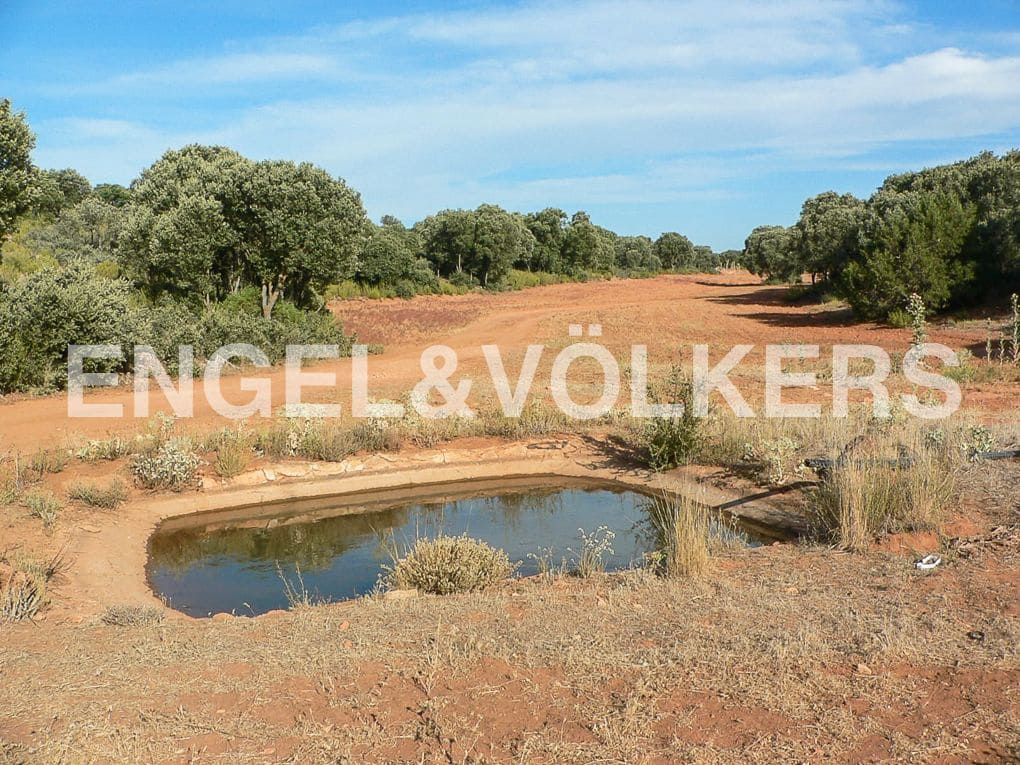 Building Plot for sale in Alhambra - € 1,450,000 (Ref: 8235510)