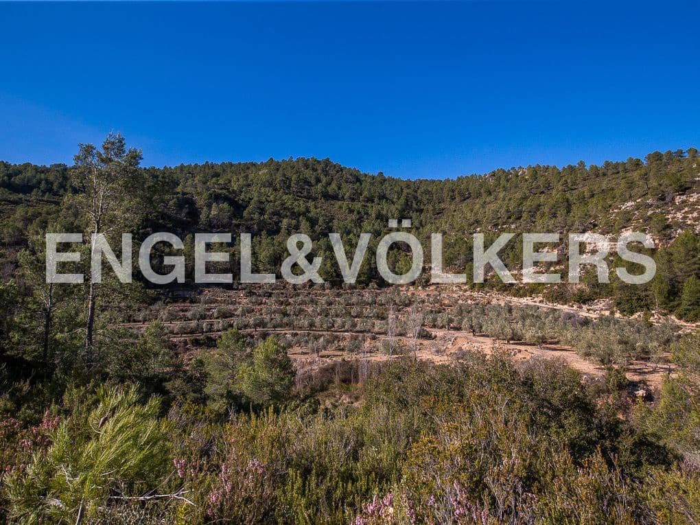 Terreno para Construção para venda em Moixent - 400 000 € (Ref: 8235559)