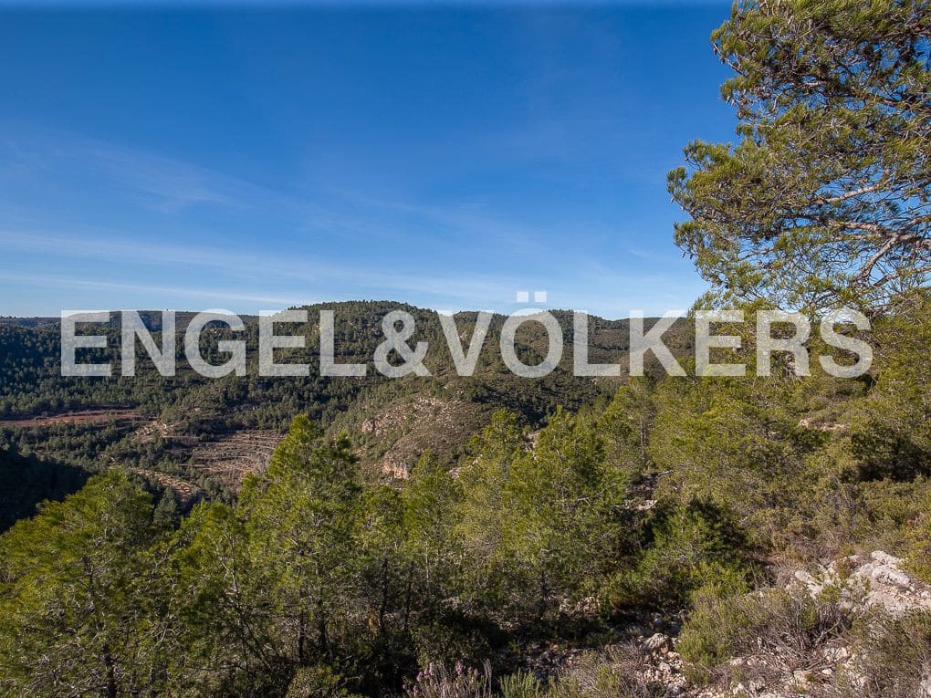 Terreno para Construção para venda em Moixent - 400 000 € (Ref: 8235559)