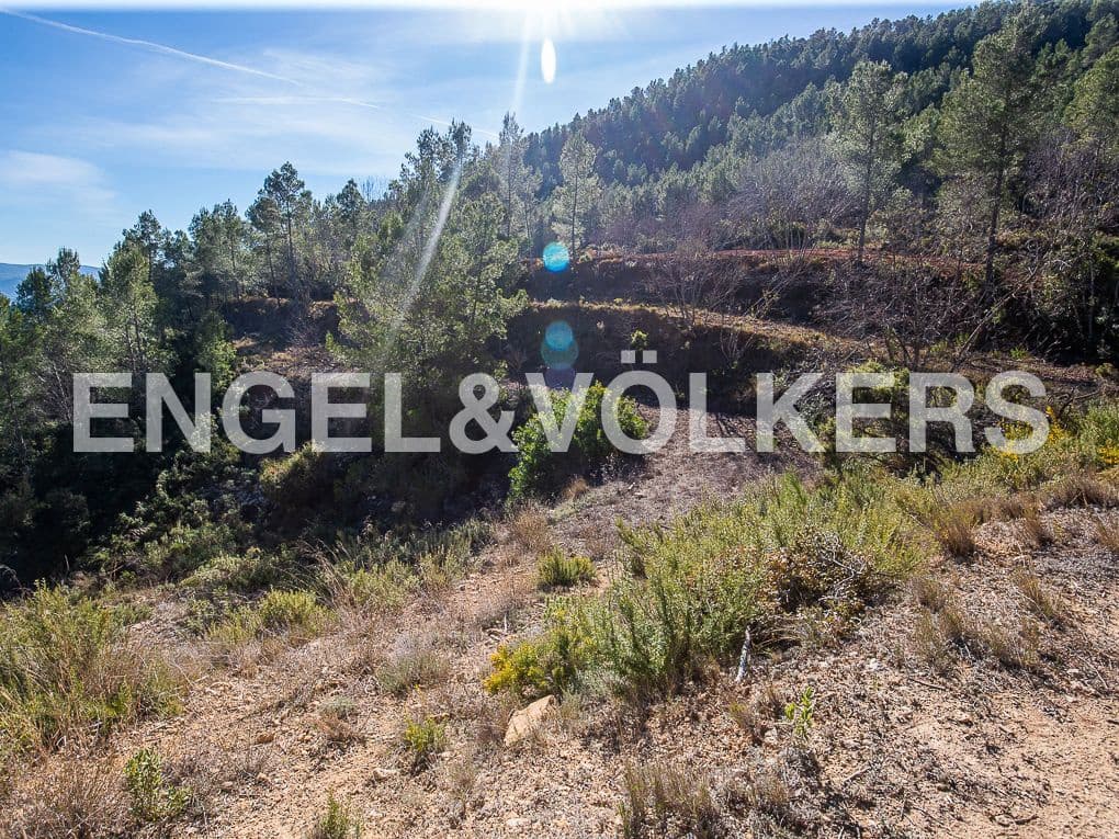 Terreno para Construção para venda em Moixent - 400 000 € (Ref: 8235559)