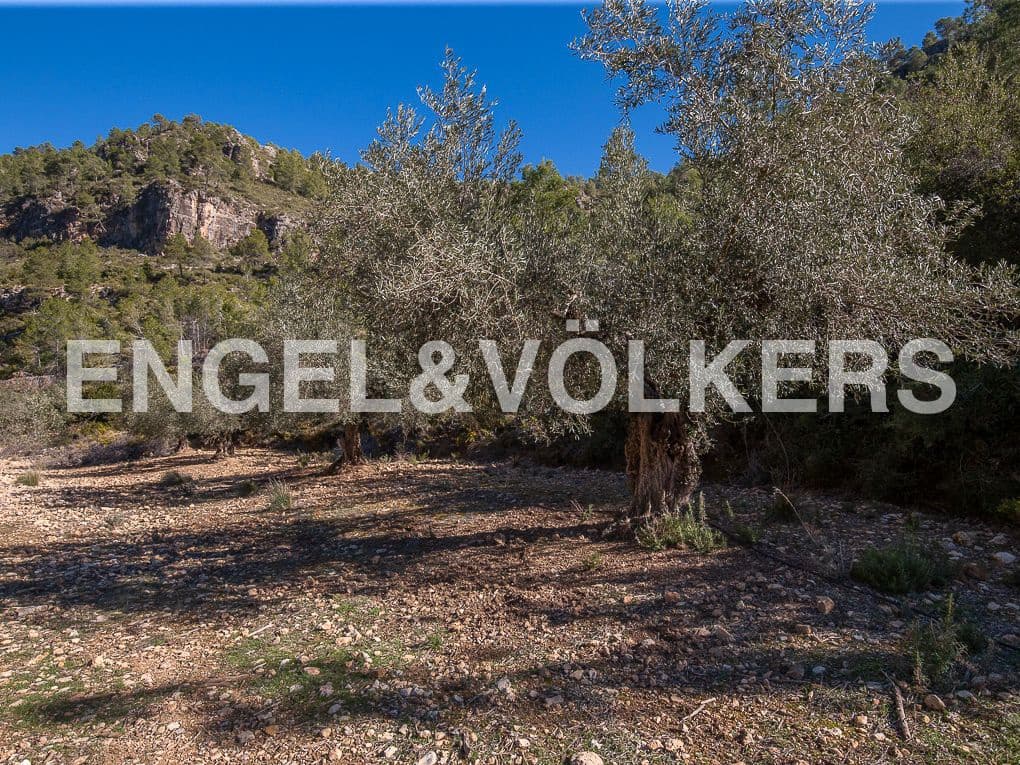 Terreno para Construção para venda em Moixent - 400 000 € (Ref: 8235559)