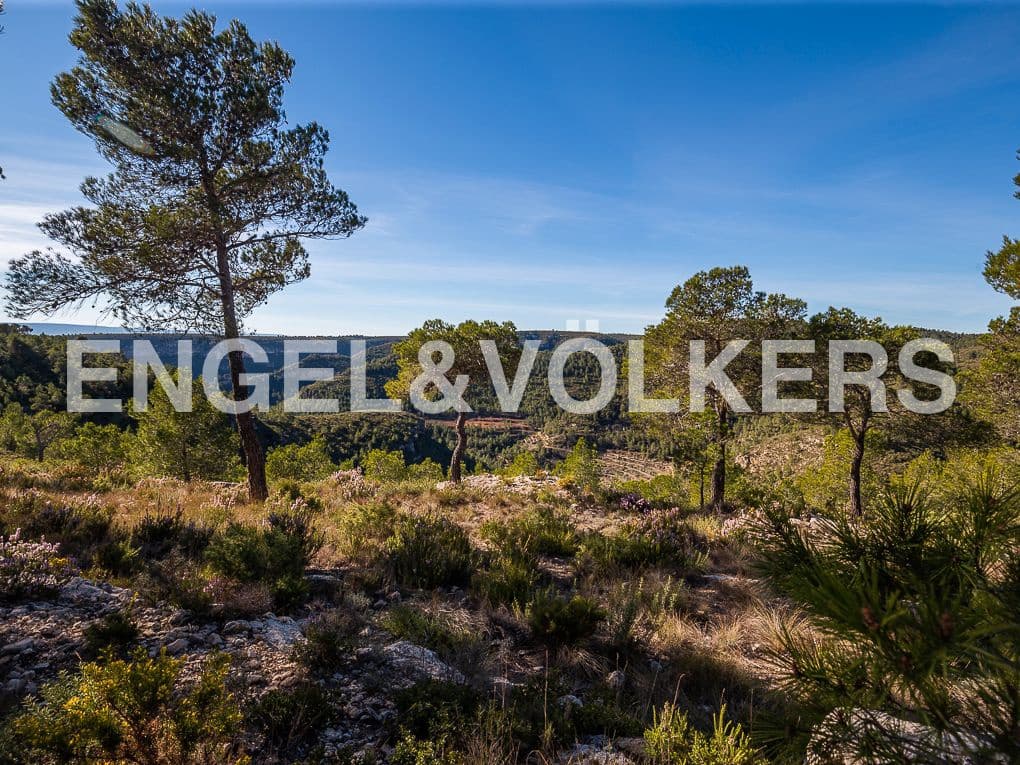 Terreno para Construção para venda em Moixent - 400 000 € (Ref: 8235559)
