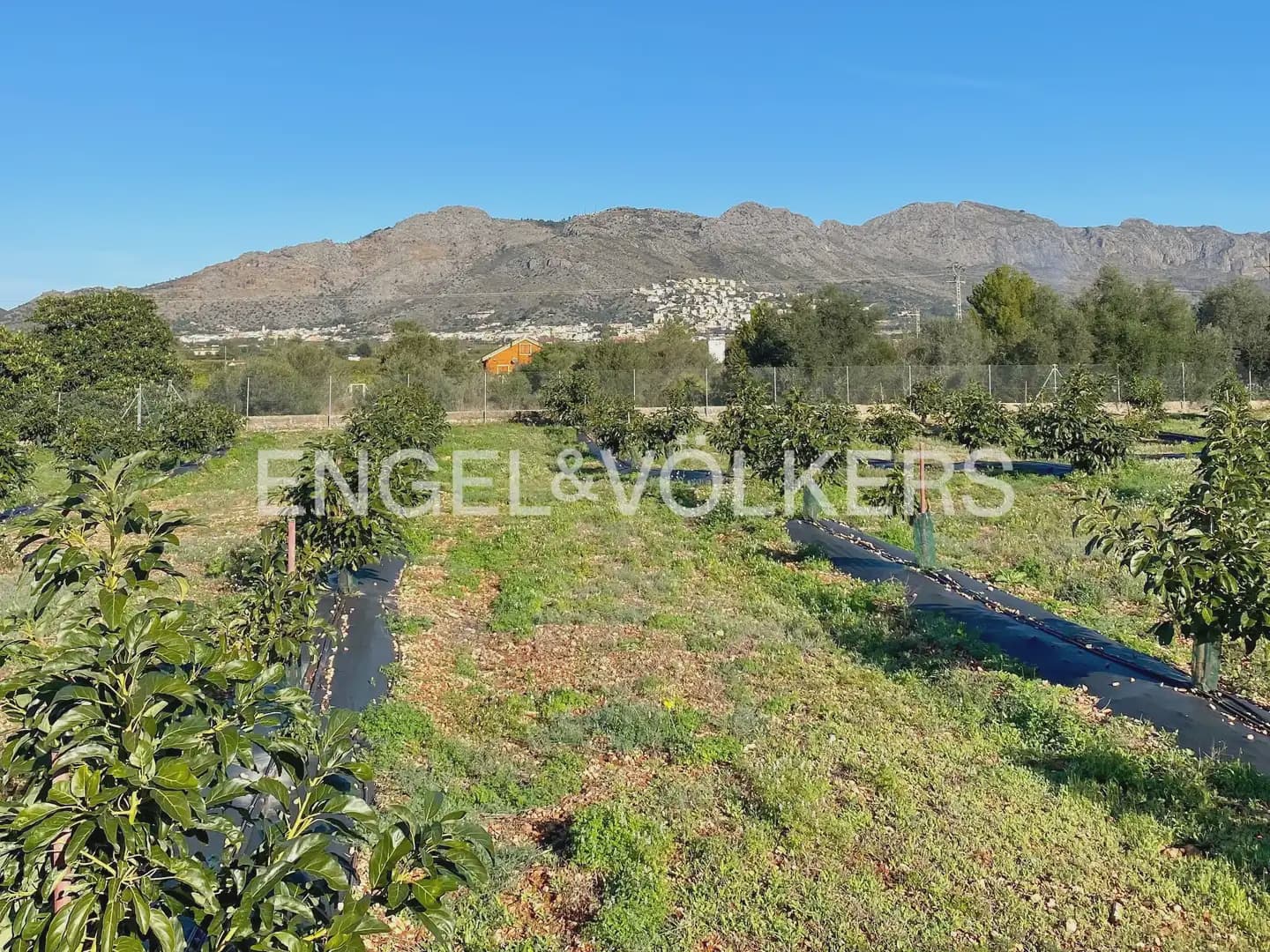 5 bedroom Villa for sale in Benidoleig with pool - € 1,650,000 (Ref: 8235560)