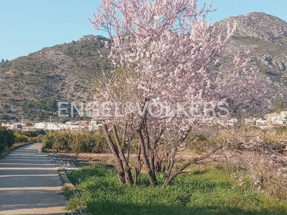5 bedroom Villa for sale in Benidoleig with pool - € 1,650,000 (Ref: 8235560)
