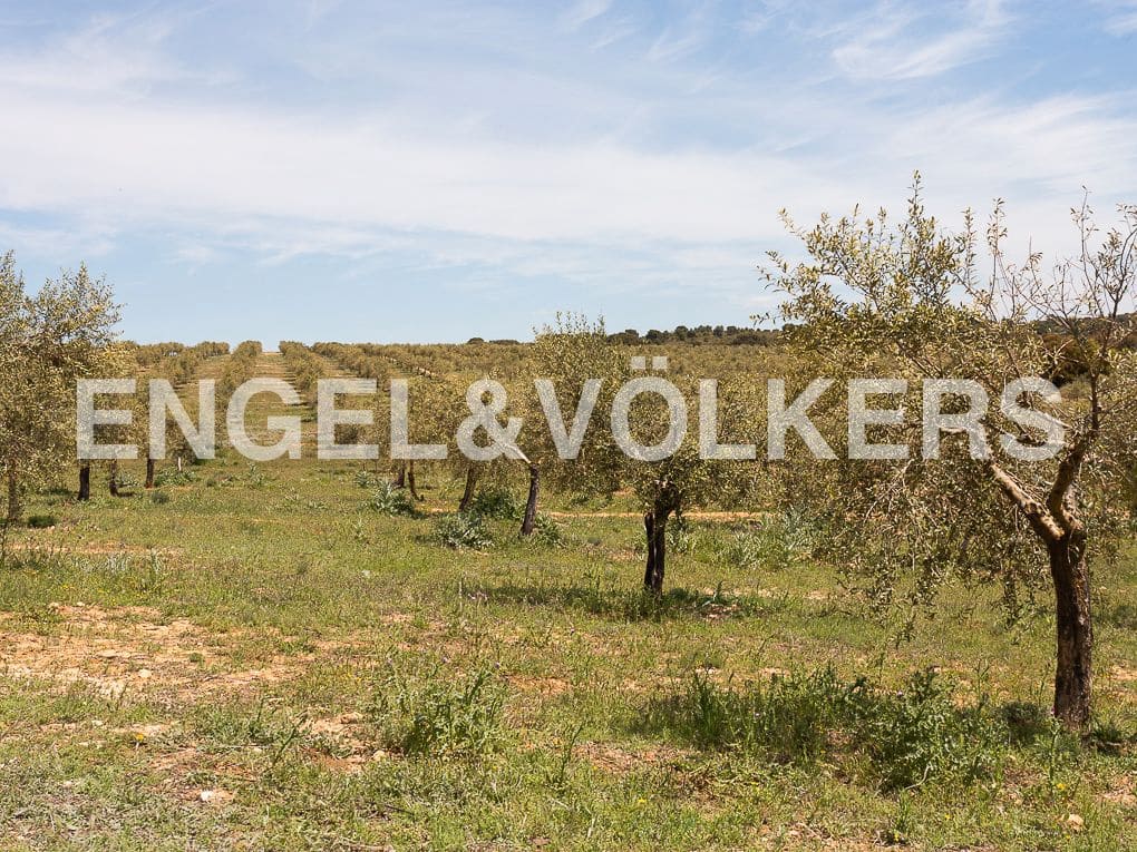 3 Zimmer Finca/Landgut zu verkaufen in Chinchilla de Monte-Aragon mit Pool - 2.700.000 € (Ref: 8235566)