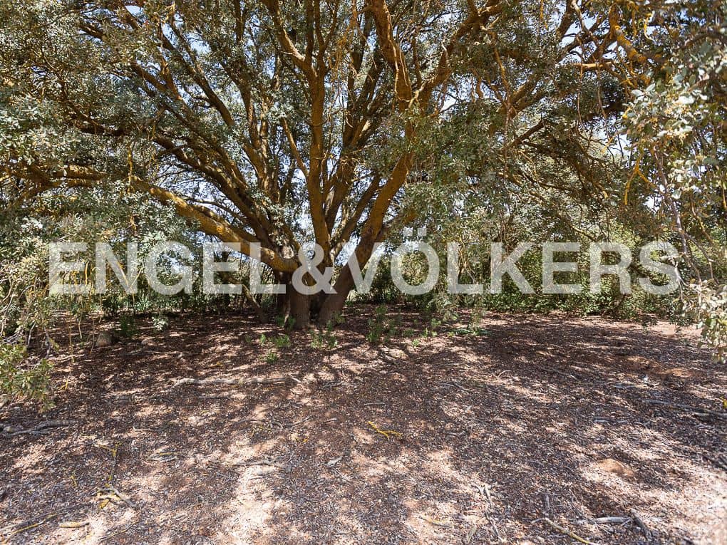 3 Zimmer Finca/Landgut zu verkaufen in Chinchilla de Monte-Aragon mit Pool - 2.700.000 € (Ref: 8235566)