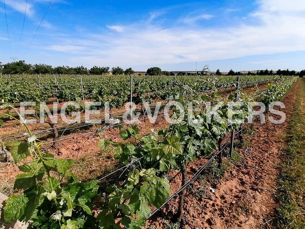 3 Zimmer Finca/Landgut zu verkaufen in Chinchilla de Monte-Aragon mit Pool - 2.700.000 € (Ref: 8235566)