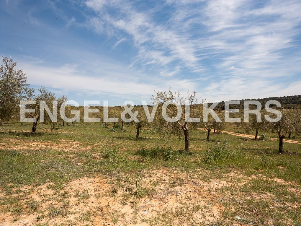 3 Zimmer Finca/Landgut zu verkaufen in Chinchilla de Monte-Aragon mit Pool - 2.700.000 € (Ref: 8235566)