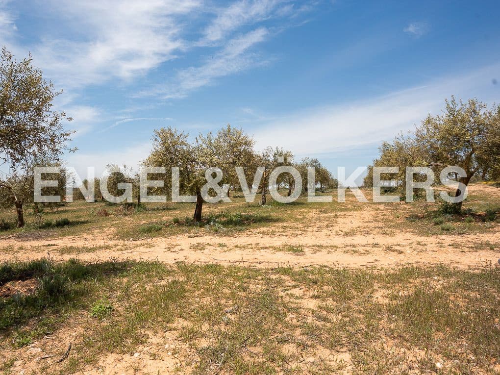 3 Zimmer Finca/Landgut zu verkaufen in Chinchilla de Monte-Aragon mit Pool - 2.700.000 € (Ref: 8235566)