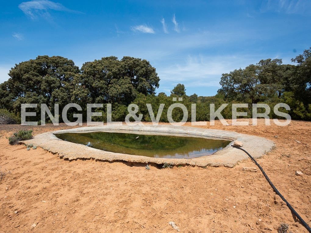 3 Zimmer Finca/Landgut zu verkaufen in Chinchilla de Monte-Aragon mit Pool - 2.700.000 € (Ref: 8235566)
