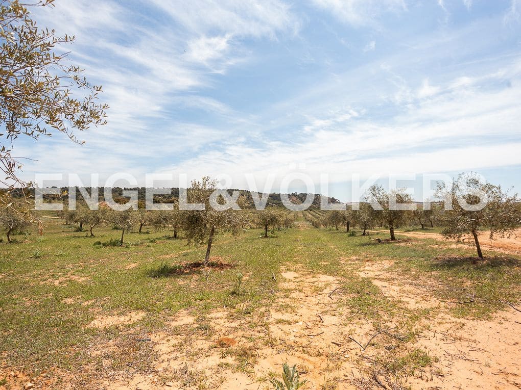 3 Zimmer Finca/Landgut zu verkaufen in Chinchilla de Monte-Aragon mit Pool - 2.700.000 € (Ref: 8235566)