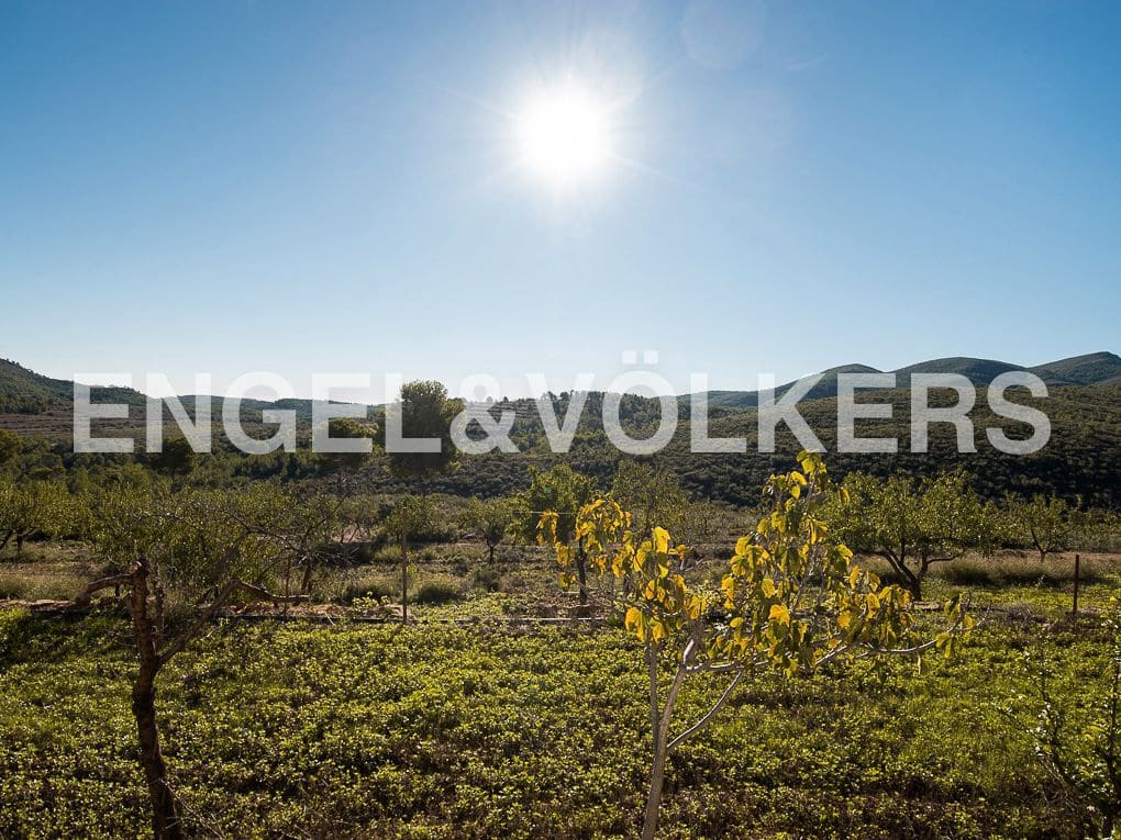 13 bedroom Finca/Country House for sale in Segorbe with pool garage - € 747,000 (Ref: 8235591)