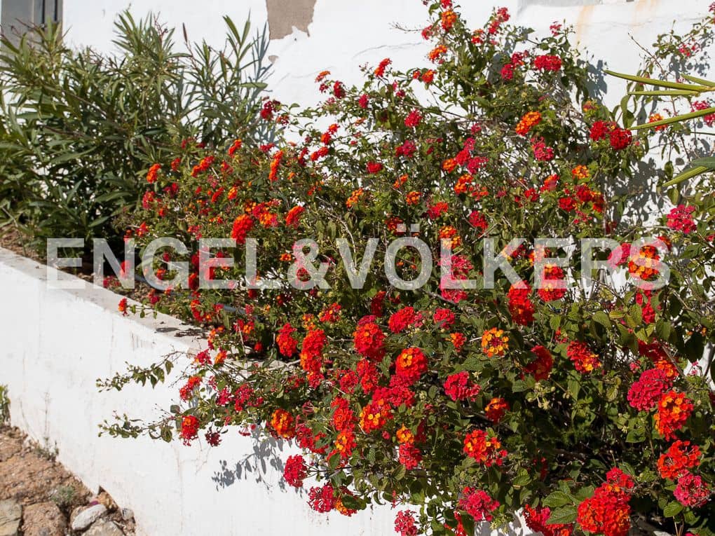 13 bedroom Finca/Country House for sale in Segorbe with pool garage - € 747,000 (Ref: 8235591)