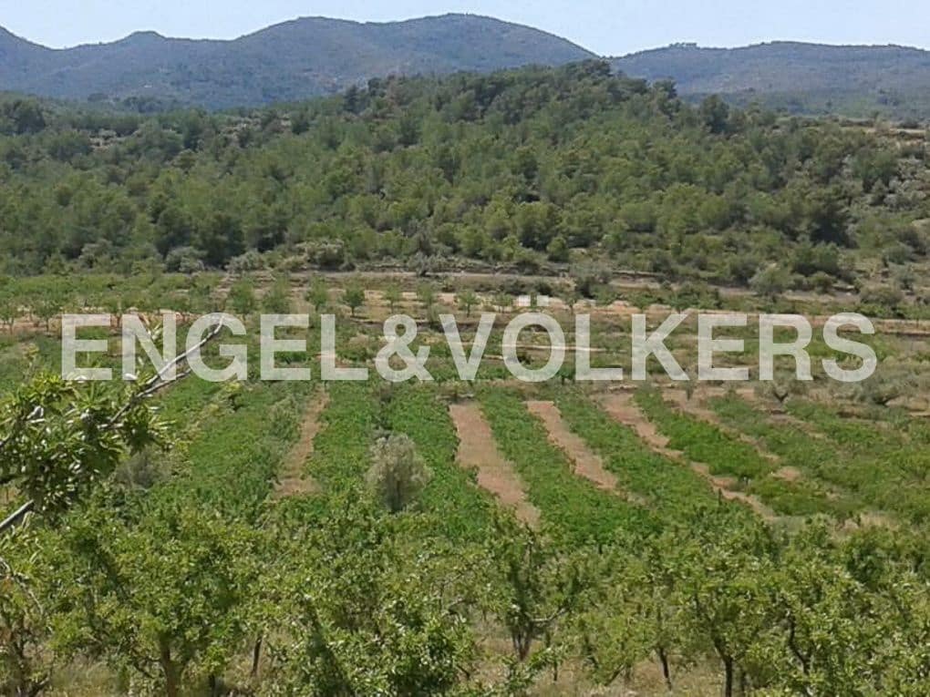 Building Plot for sale in Segorbe - € 98,000 (Ref: 8239220)