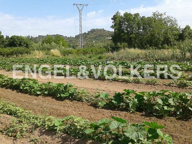 Building Plot for sale in Segorbe - € 98,000 (Ref: 8239220)