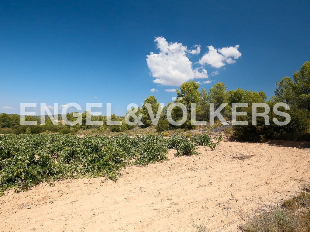 1 bedroom Finca/Country House for sale in Requena - € 350,000 (Ref: 8239331)