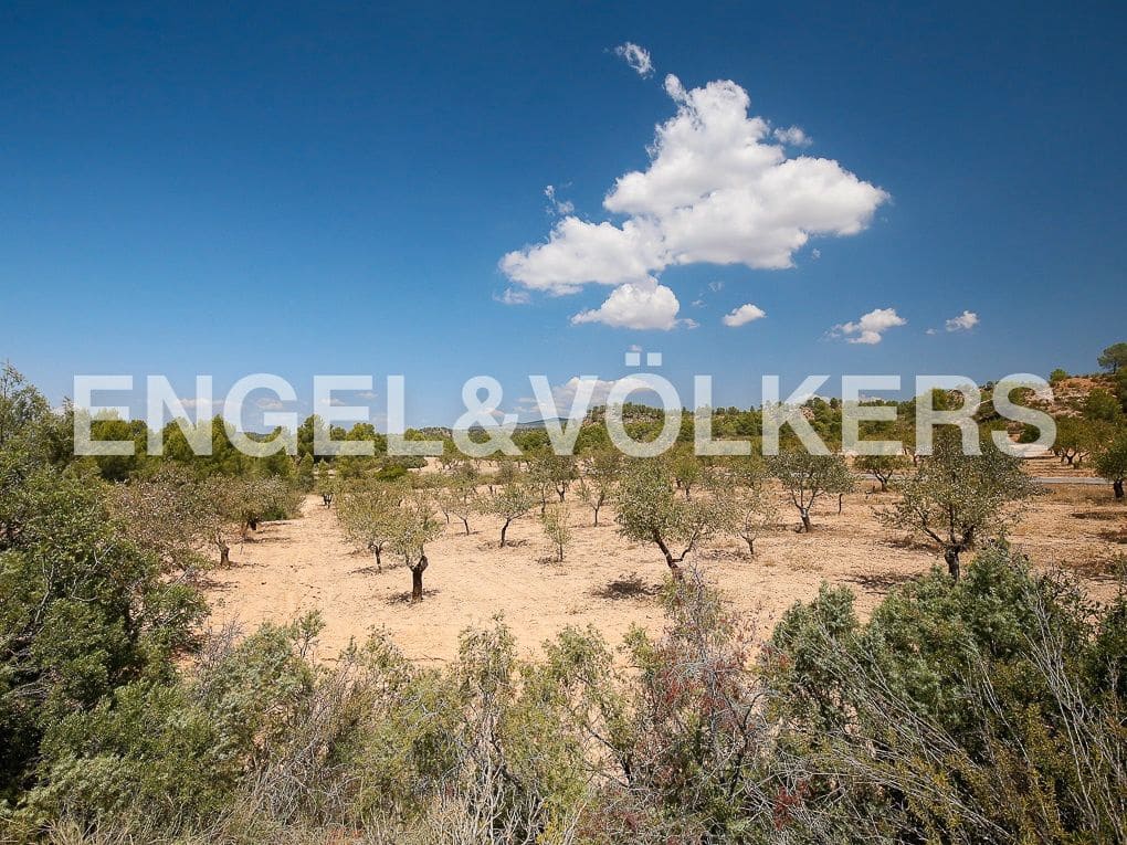 1 bedroom Finca/Country House for sale in Requena - € 350,000 (Ref: 8239331)