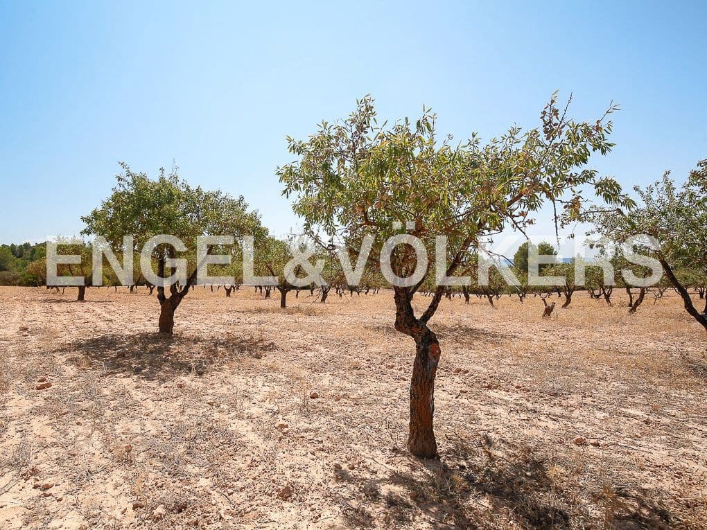 1 bedroom Finca/Country House for sale in Requena - € 350,000 (Ref: 8239331)