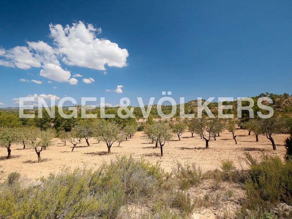 1 bedroom Finca/Country House for sale in Requena - € 350,000 (Ref: 8239331)